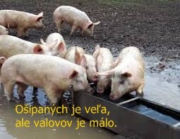 Voľby do VÚC