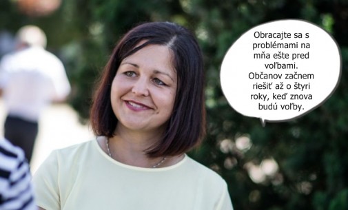Príspevok 101029