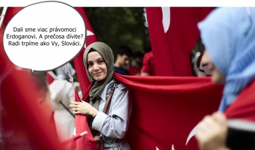 Príspevok 98839